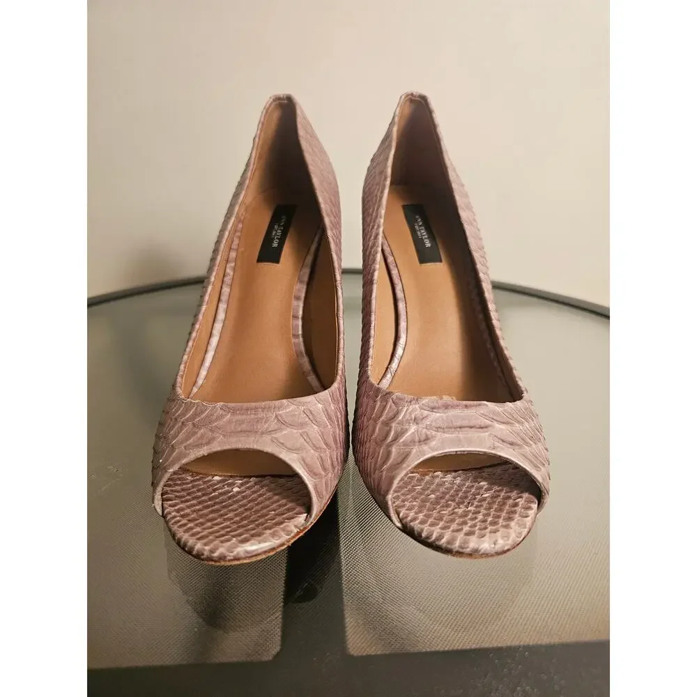 Ann Taylor 